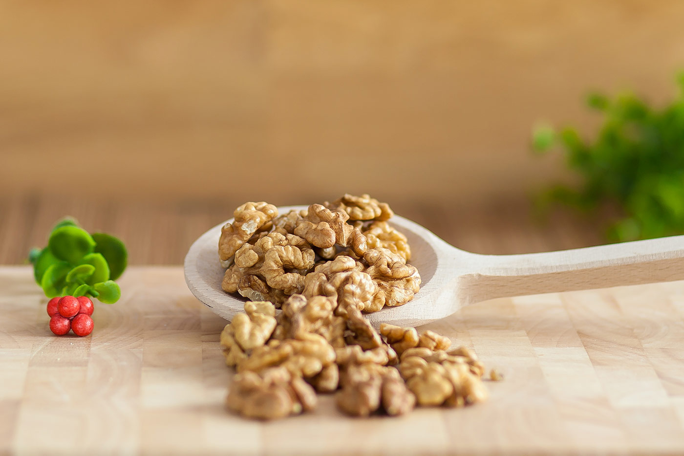 ΚΑΡΥΔΟΨΥΧΑ ΠΕΤΑΛΟΥΔΑ