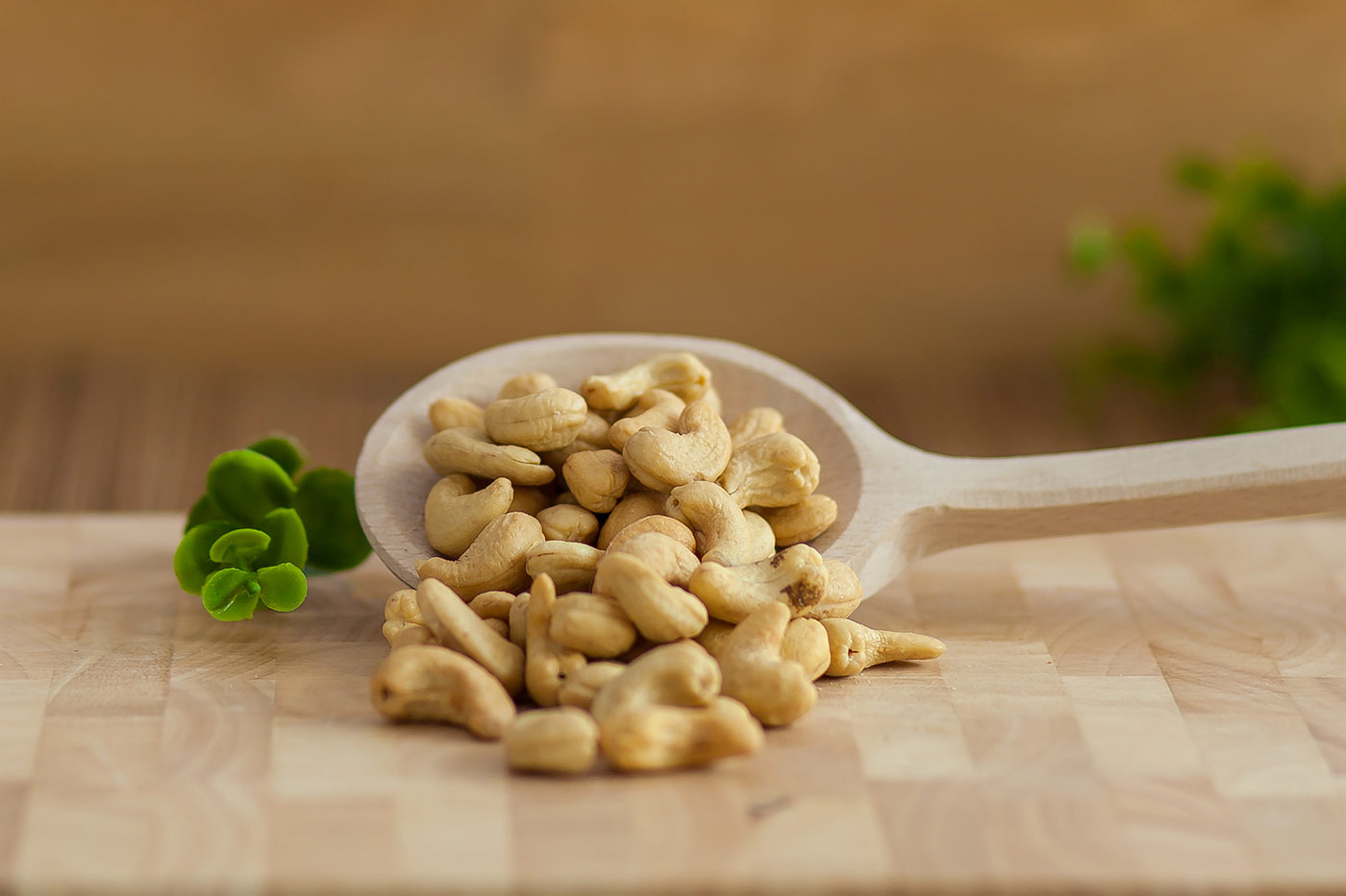 ΚΑΣΙΟΥΣ ΨΗΜΕΝΟ