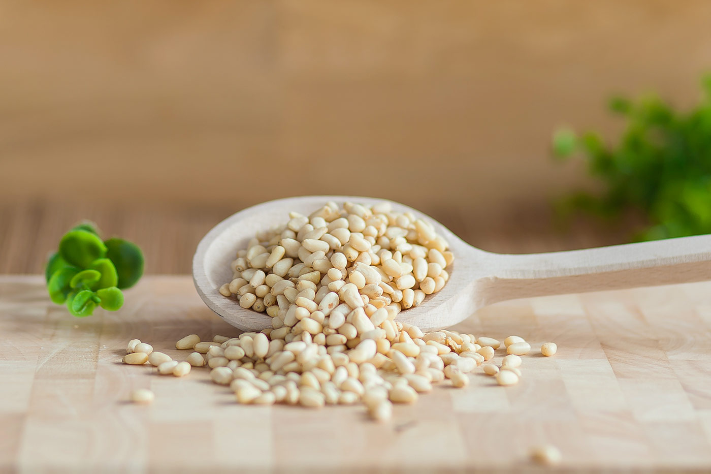 ΚΟΥΚΟΥΝΑΡΙ