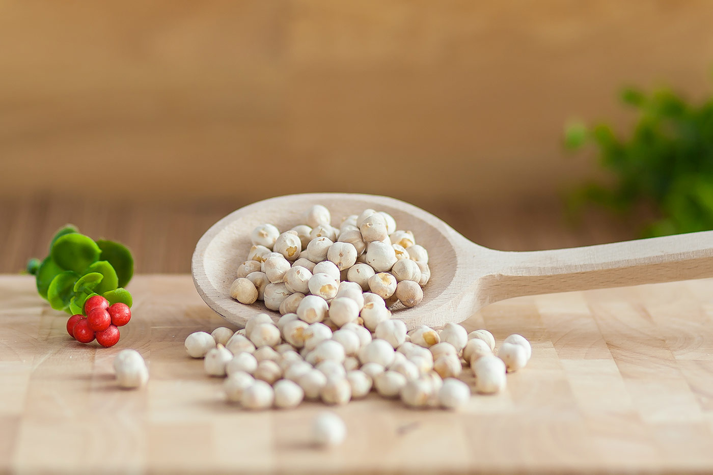 ΣΤΡΑΓΑΛΙ ΑΛΜΥΡΟ